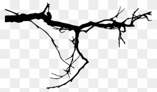 Branches At Getdrawings Com - Tree Branches Transparent Background Clipart