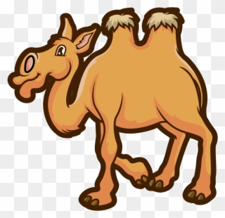 Camel Transparent Domestic Animal - Horse Clipart