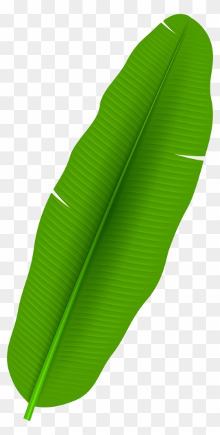 Palm Leaf Clip Art Png - Banana Leaves Clipart Png Transparent Png