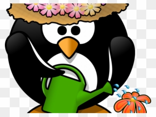 Spring Clipart Penguin - Colors Of A Penguin - Png Download