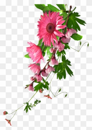 Mq Pink Flowers Flower Garden Nature - Real Flowers Clip Art - Png Download