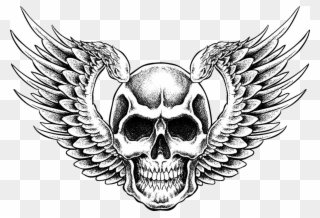 Full Size Of Easy To Draw Human Skulls Cartoon Skull - Skull With Wings Drawing Clipart