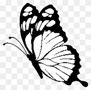 Butterfly - Brush-footed Butterfly Clipart