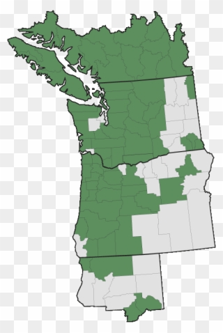 More Information - - Pacific Northwest Clipart