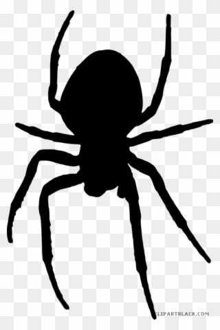 Happy Clipartblack Com Animal Free White Images - Creepy Spider Clip Art - Png Download
