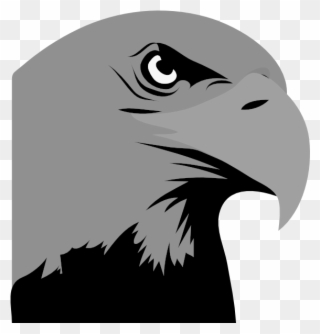 Hawk Clipart Hawk Head Png Black And White Library - Bald Eagle Black And White Clipart Transparent Png