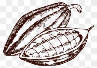 Take A Look At The Whole Process - Drawing Clipart