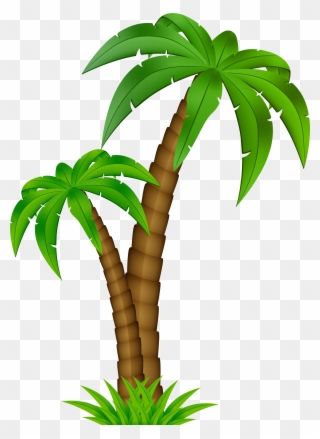 Palm Tree Cartoon Png Clipart