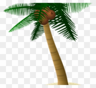 Palm Tree Clipart Plm - Uses Of Coconut Tree In Hindi - Png Download