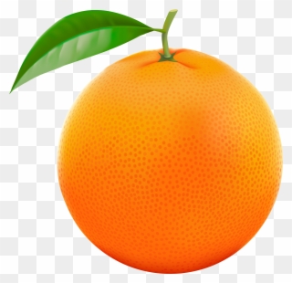 Orange Fruit Clipart Orane - Orange Fruit Orange Silhouette - Png Download