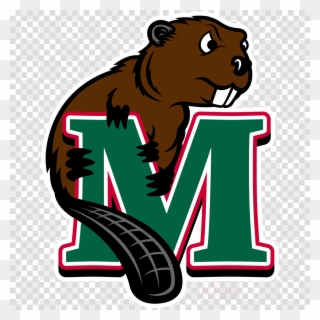 Download Minot State Beavers Logo Clipart Minot State - Minot State Beavers Logo - Png Download