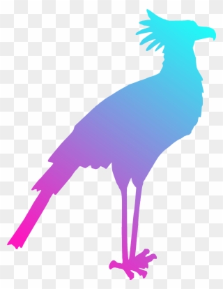 Bird Gulls Silhouette Drawing Art - Secretary Bird Silhouette Clipart