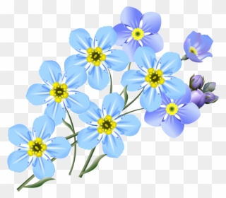 More Images Of Forget Me Not Clip Art Free - Forget Me Nots Drawing - Png Download