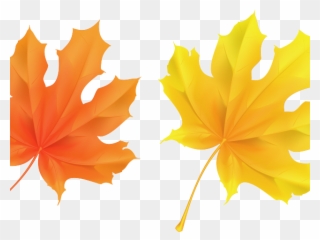 Yellow Flower Clipart Leave Clipart - Fall Leaf Clipart No Background - Png Download