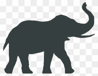 Elephant Guest House Westport Centre Accommodation - Elephant Logo Clipart