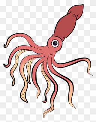 How To Draw Squid - Drawing Clipart
