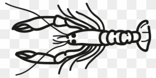 Project Description - Norway Lobster Clipart