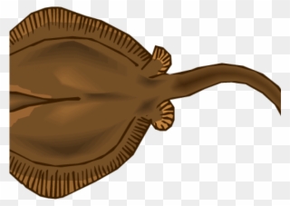 Stingray Clipart Angry - Stingray - Png Download