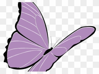 Lavender Clipart Butterfly - Schmetterling Clipart - Png Download