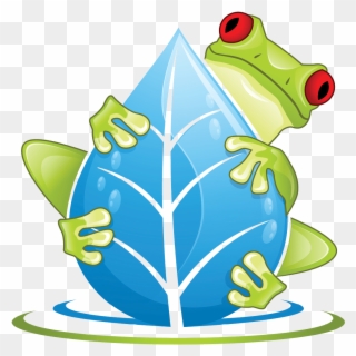 Frog Falling Down Png Clipart