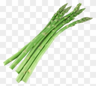 Bunch Of Asparagus - Seasonal Food: A Guide To What's In Season When And Clipart