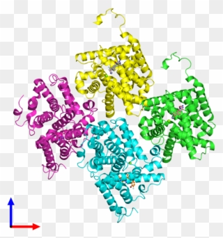 Pdb 5tzz Coloured By Chain And Viewed From The Front Clipart