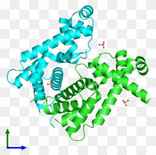 Pdb 2wgb Coloured By Chain And Viewed From The Front Clipart