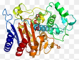 D6dptb In Context Of Chain - Graphic Design Clipart