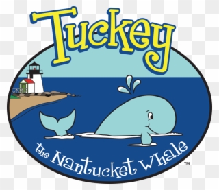 Tucker The Nantucket Whale - Nantucket Clipart