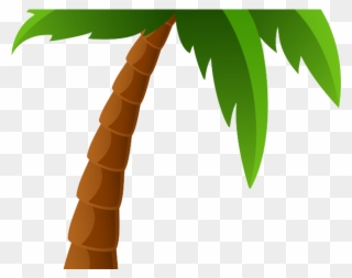 Date Clipart Palm Tree - Palm Tree Cartoon - Png Download