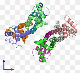 Pdb 1sfk Coloured By Chain And Viewed From The Front - Illustration Clipart