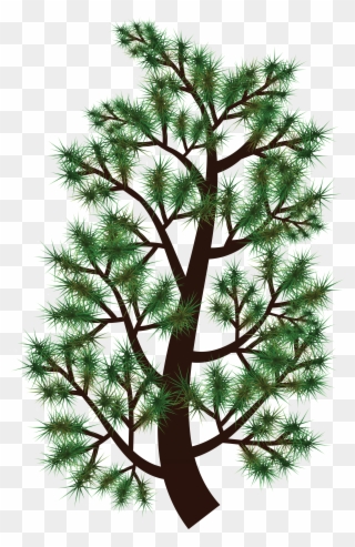 Free Clipart Of A Pine Tree Branch - Pine Tree Branch Clip Art - Png Download