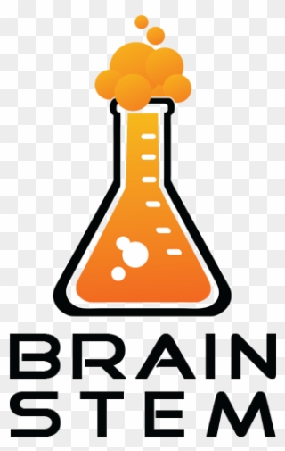 Brain Stem - Brain Stem Tucson Clipart