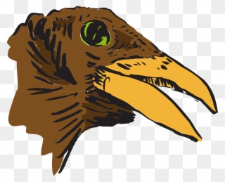 Head Beak Brown Wildlife - Bird Head Clip Art - Png Download