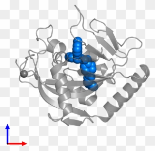 <div Class='caption-body'>pdb Entry 4tos Contains 1 - Scorpion Clipart