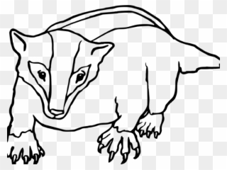 Badger Clipart Black And White - Ecosystem Of A Badger Coloring Page - Png Download