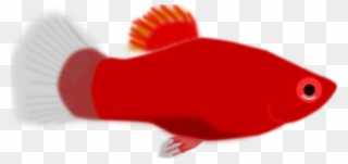 Big Image - Red Fish Clip Art - Png Download