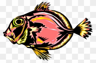 Vector Illustration Of Aquarium Tropical Fish - Fish Clipart