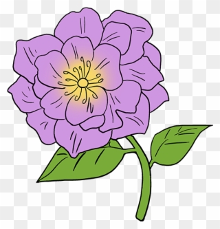 How To Draw Peony - Peony Flower Drawing Easy Clipart