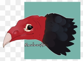 The Entire Class Of Aves Me - Turkey Vulture Clipart