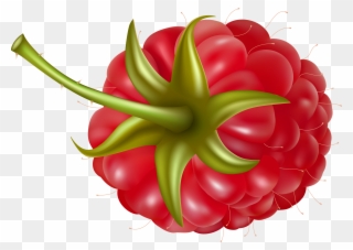 Rraspberry Png Image - Малина Рисунок Png Clipart