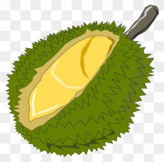 Durian Free Clip Art - Red Notary Stamp Png Transparent Png