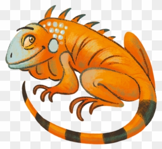 Iguana Clipart Orange - Iguana - Png Download