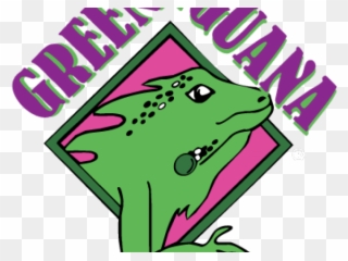 Green Iguana Tampa Clipart