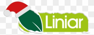 Linear Windows Clipart
